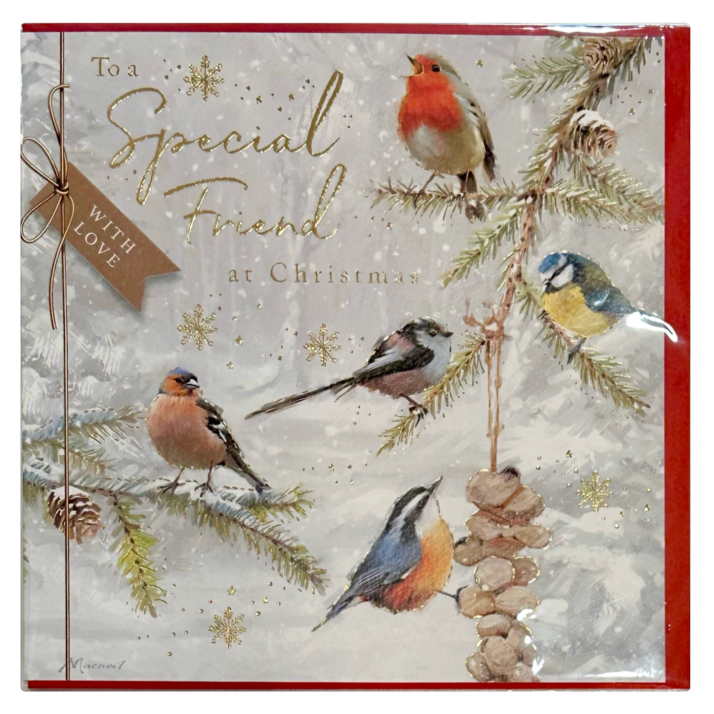 CHRISTMAS CARD - WINTER BIRDS