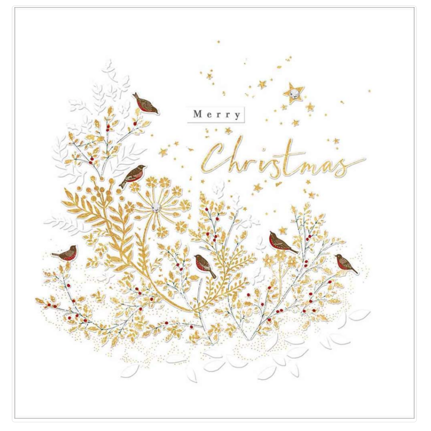 CHRISTMAS CARD - BIRDS