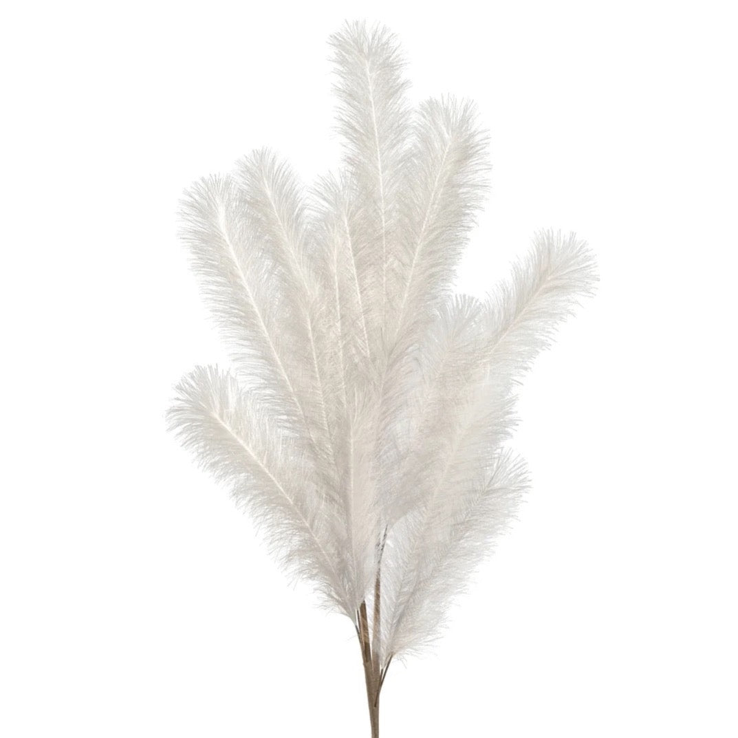 PAMPAS FEATHER STEM - WHITE